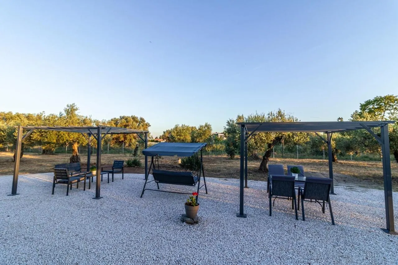 G C Luxury Apartments Nikiti  Greece